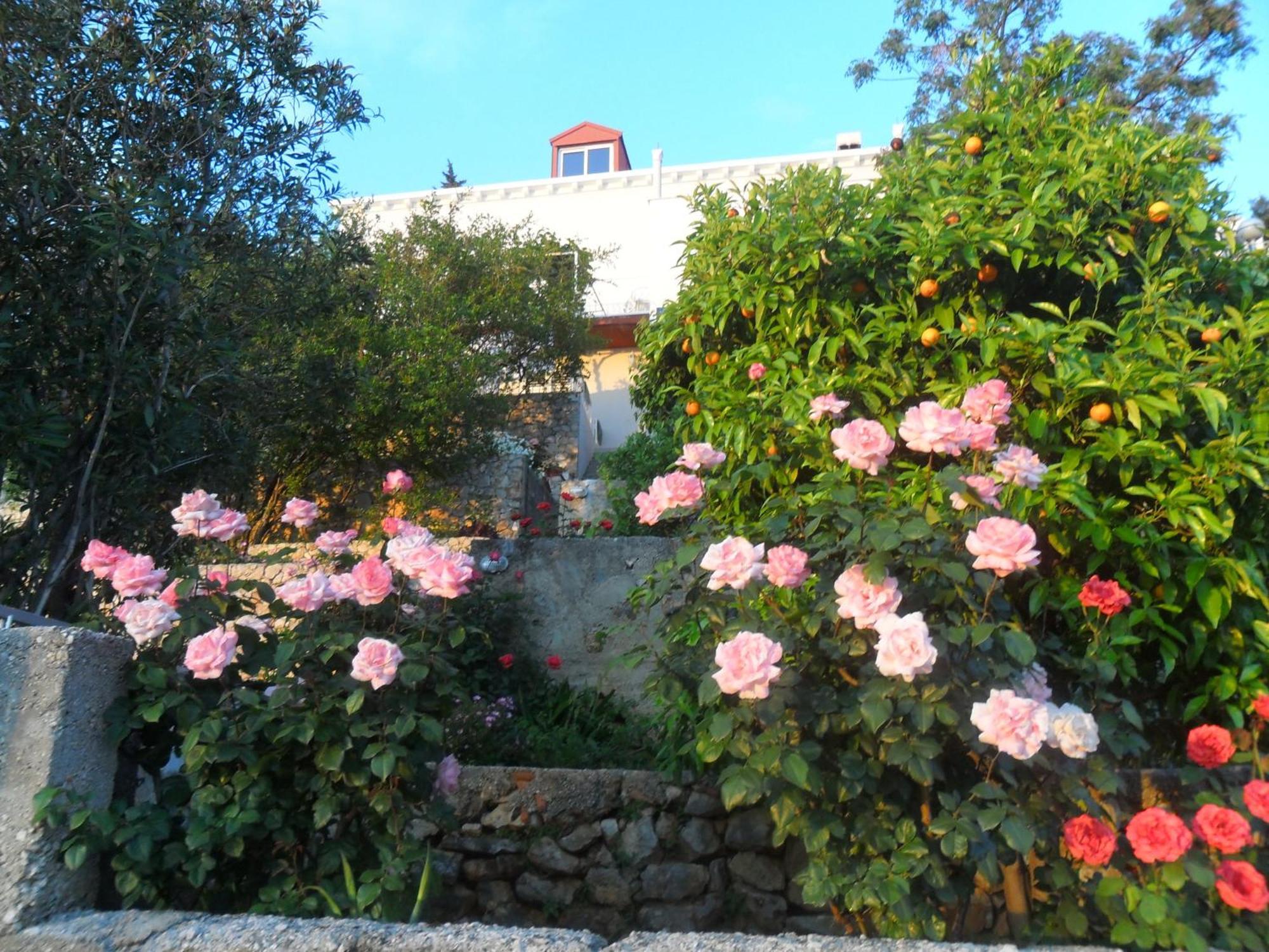 House Smajic Hotell Dubrovnik Eksteriør bilde