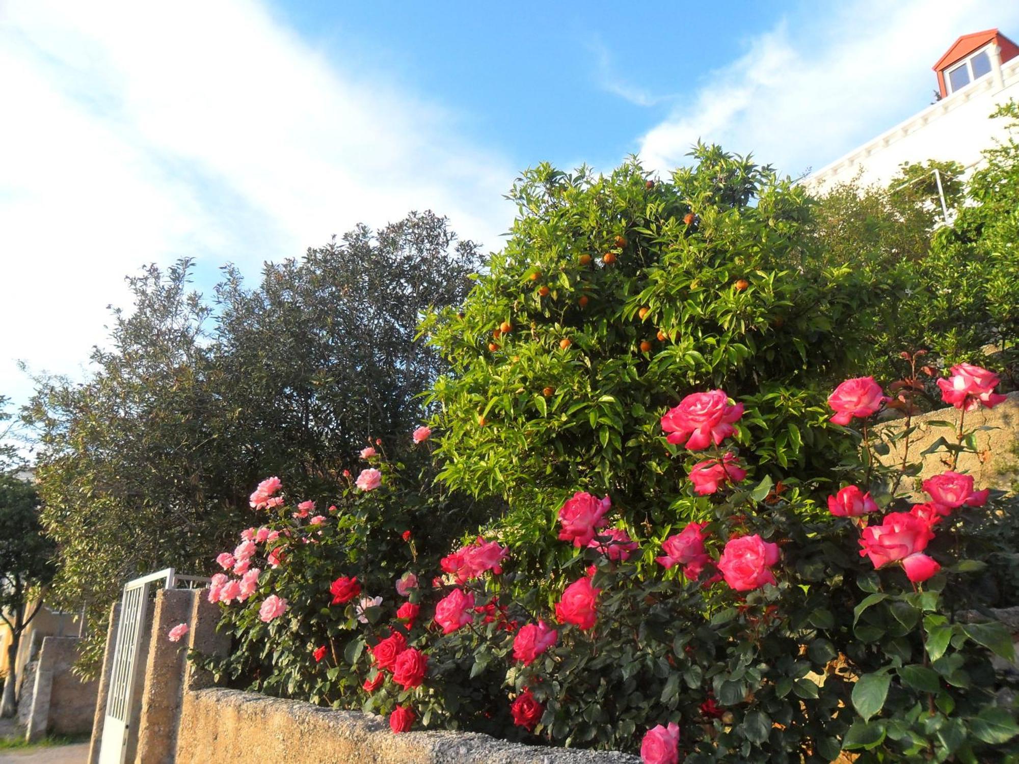 House Smajic Hotell Dubrovnik Eksteriør bilde